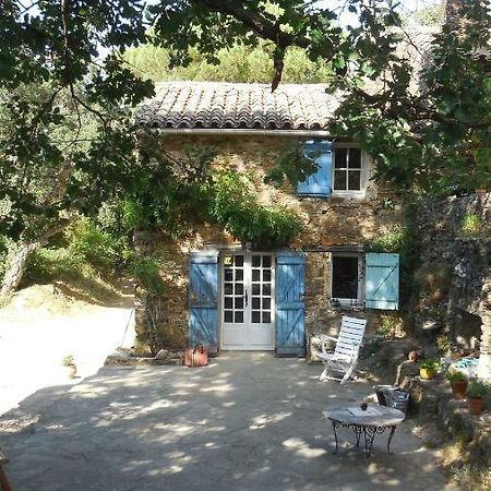 La Bergerie Villa La Garde-Freinet Exterior photo
